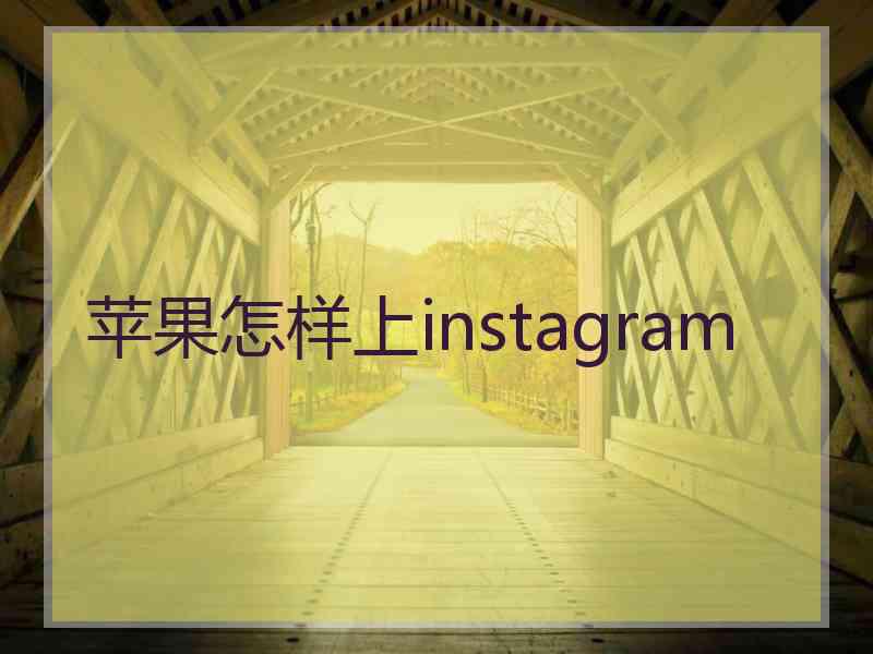 苹果怎样上instagram