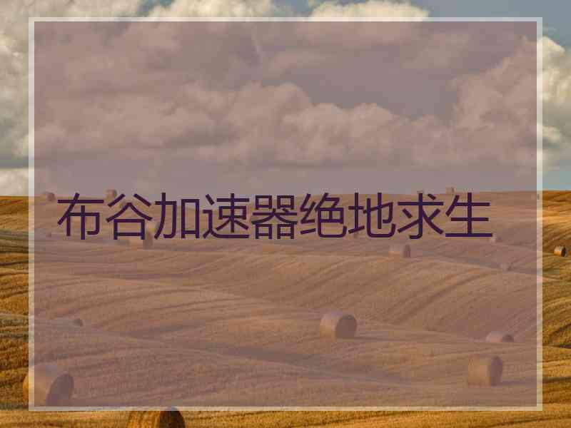 布谷加速器绝地求生
