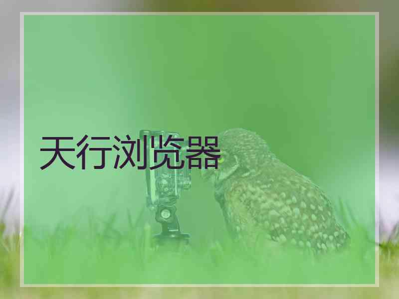 天行浏览器