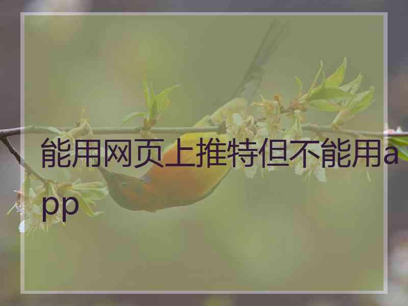 能用网页上推特但不能用app