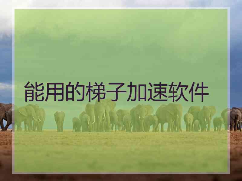 能用的梯子加速软件
