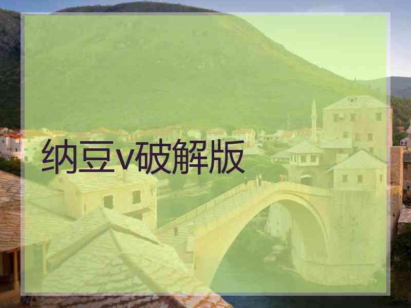 纳豆v破解版