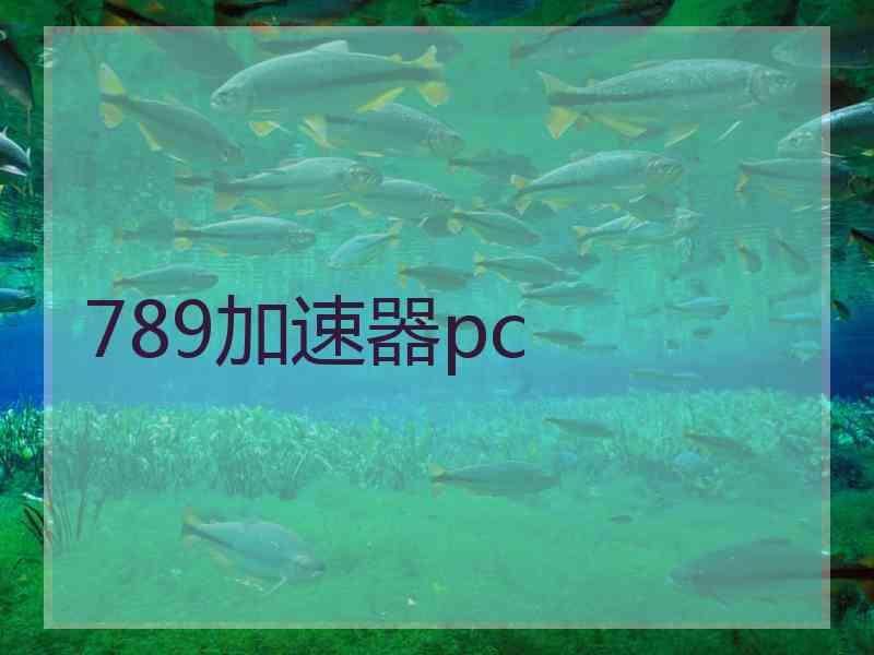 789加速器pc