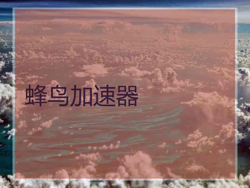 蜂鸟加速器