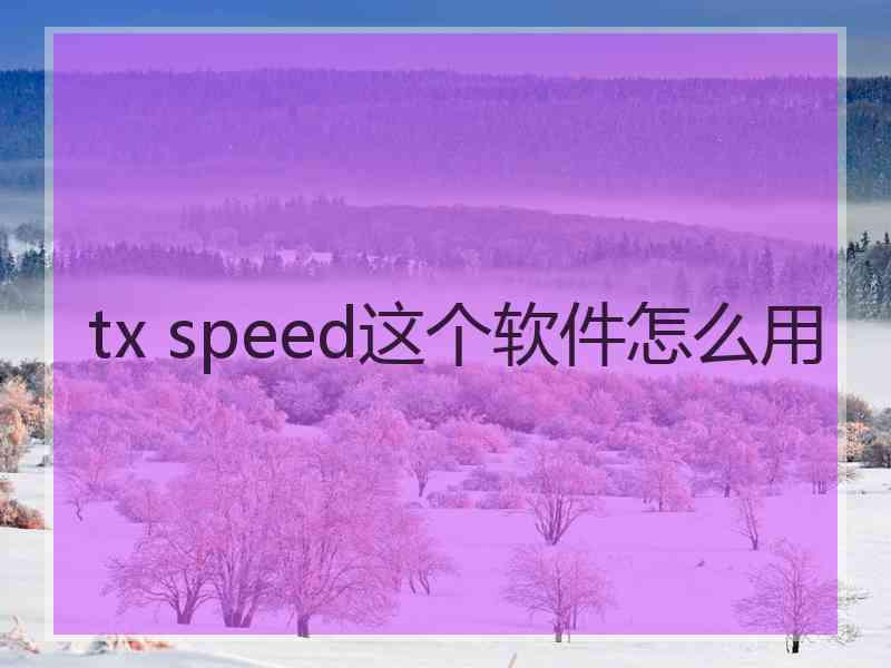 tx speed这个软件怎么用