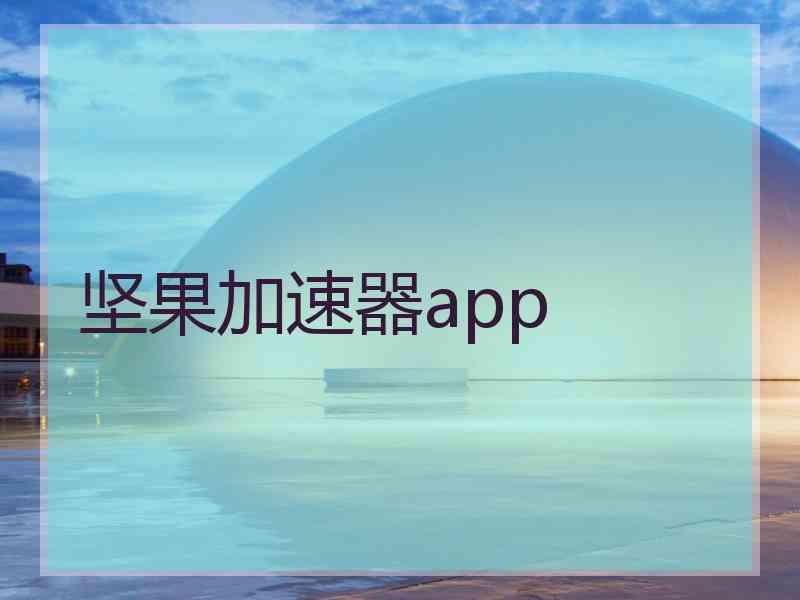 坚果加速器app
