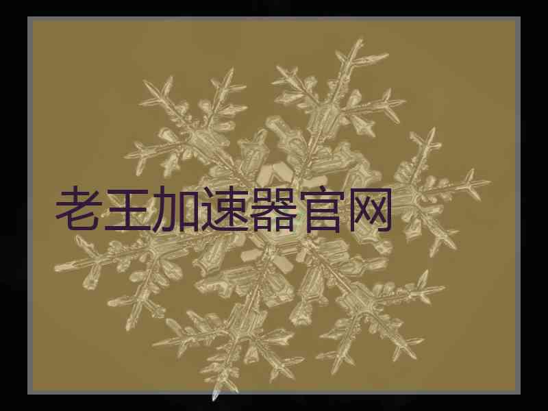 老王加速器官网