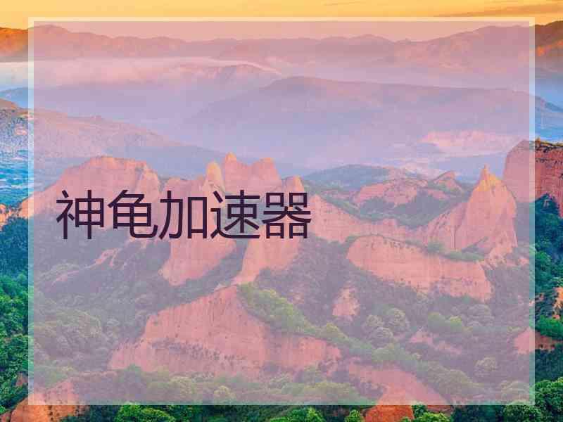 神龟加速器