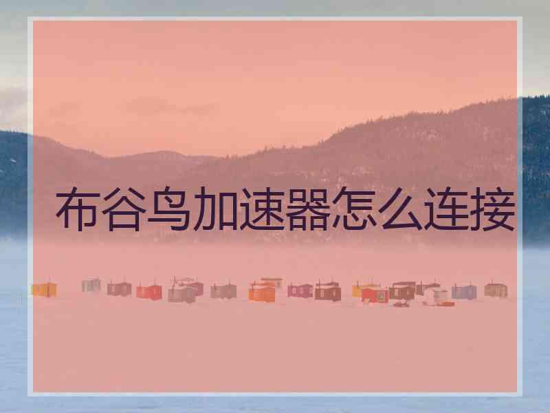 布谷鸟加速器怎么连接