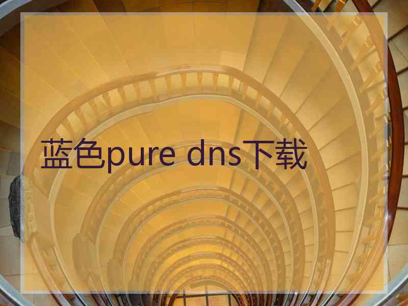 蓝色pure dns下载