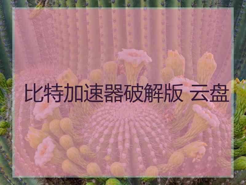 比特加速器破解版 云盘