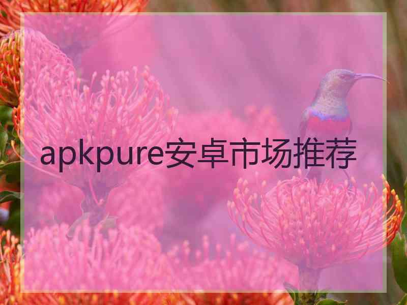 apkpure安卓市场推荐