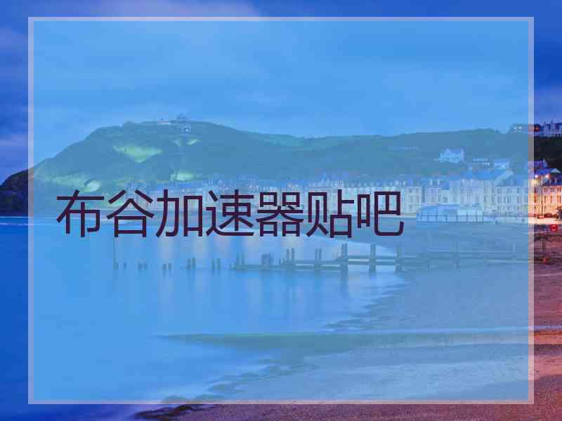 布谷加速器贴吧