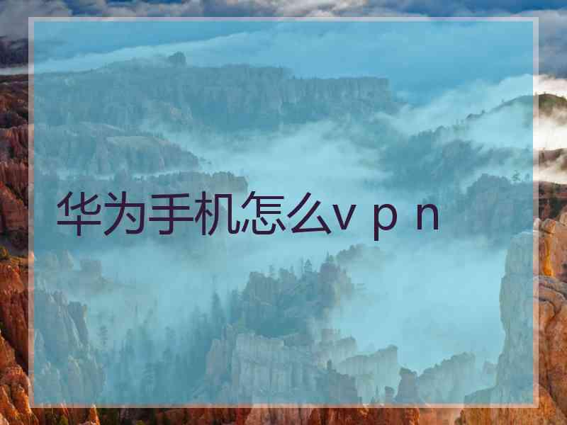 华为手机怎么v p n