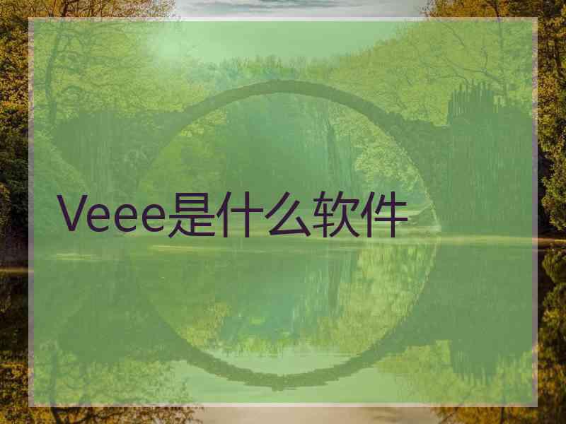 Veee是什么软件