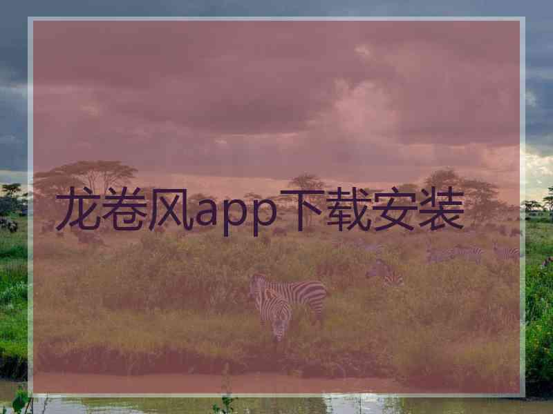 龙卷风app下载安装