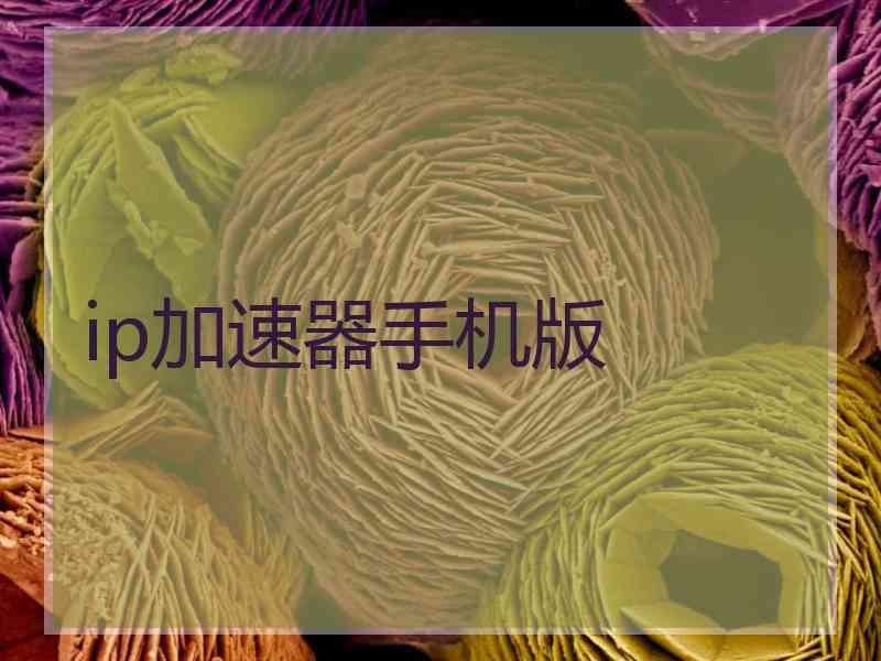 ip加速器手机版