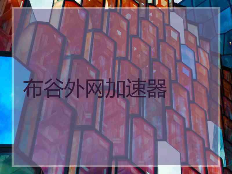 布谷外网加速器