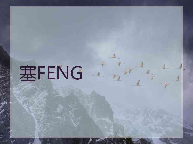 塞FENG
