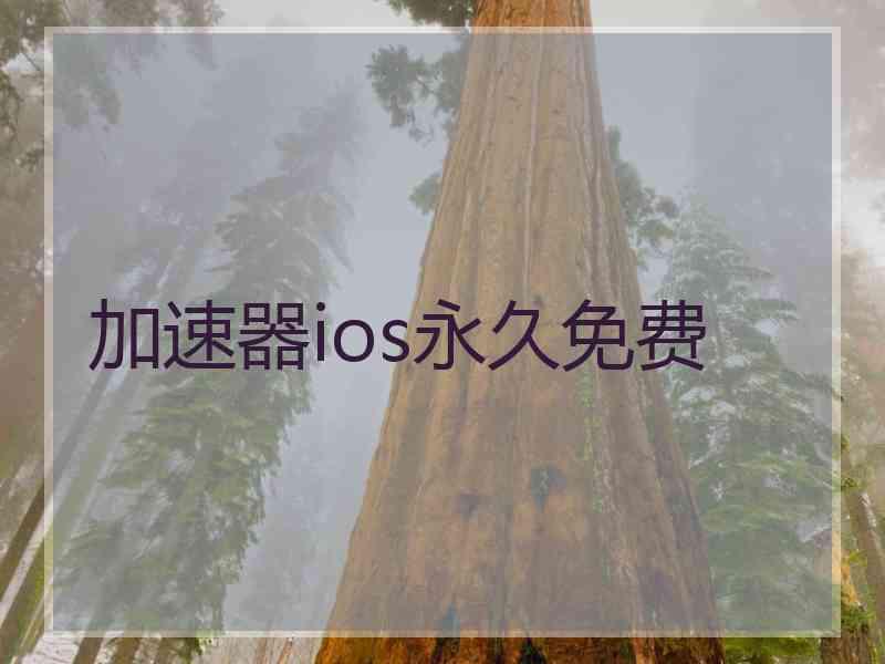 加速器ios永久免费