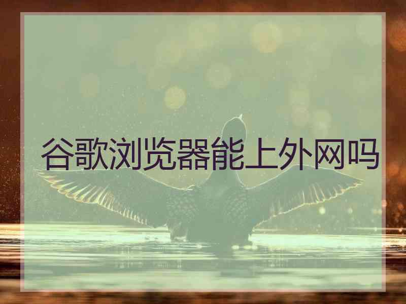 谷歌浏览器能上外网吗