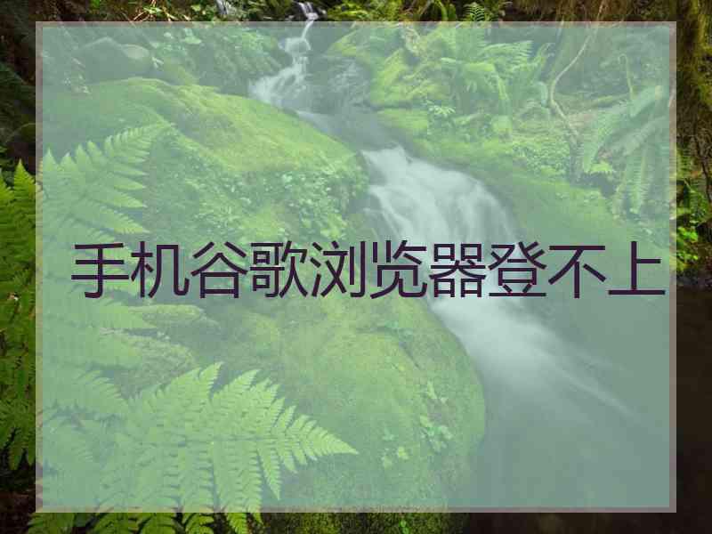 手机谷歌浏览器登不上