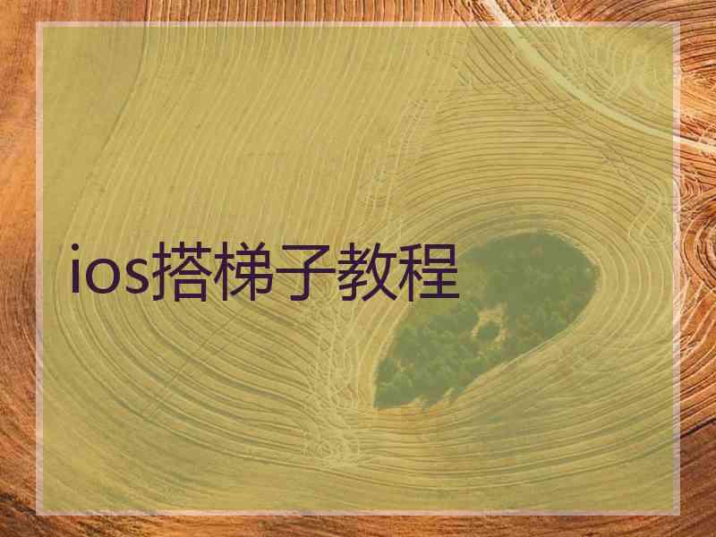 ios搭梯子教程