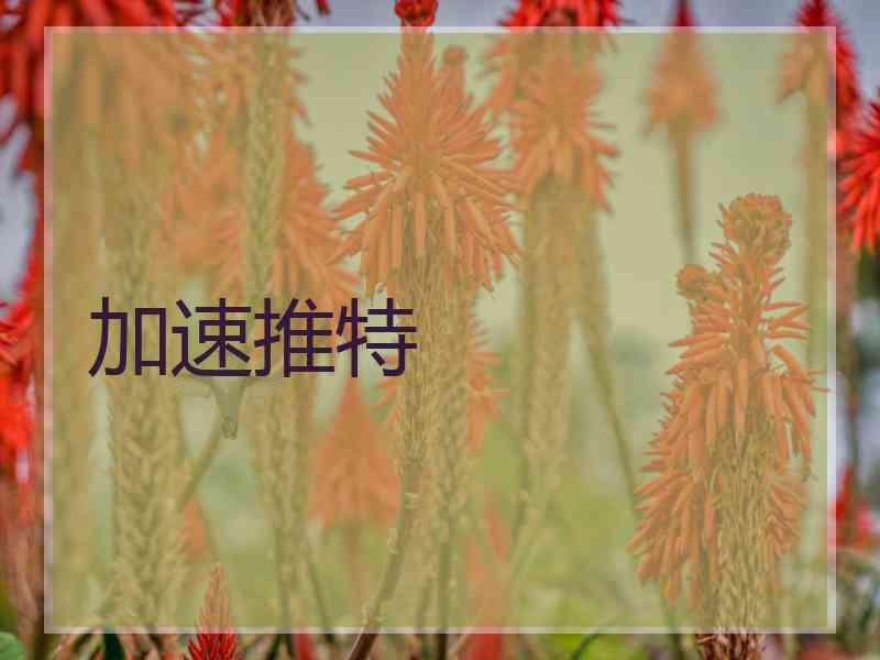 加速推特